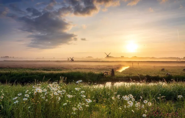Картинка Holland, mist, Windmill, Dutch territories