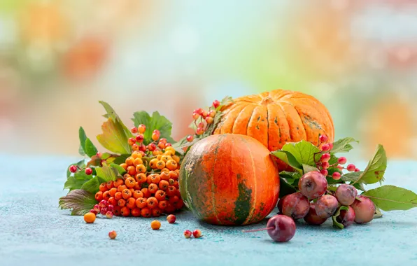 Картинка осень, ягоды, стол, настроение, урожай, плоды, тыквы, тыква, натюрморт, рябина, композиция, осенний, калина, ранетки, яблочки, …