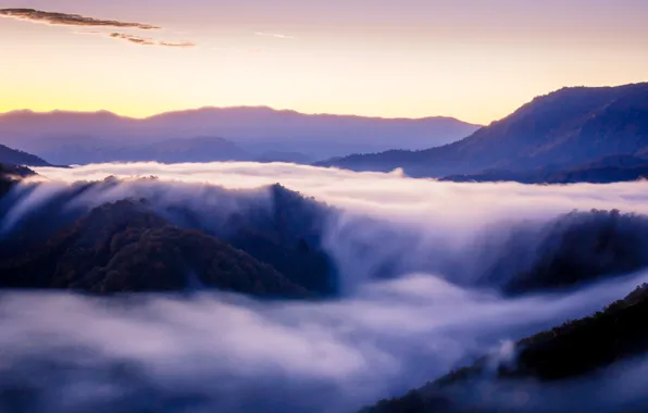 Картинка горы, туман, красота, Япония, Japan, Autumn, Mist, Morning, Sea of clouds