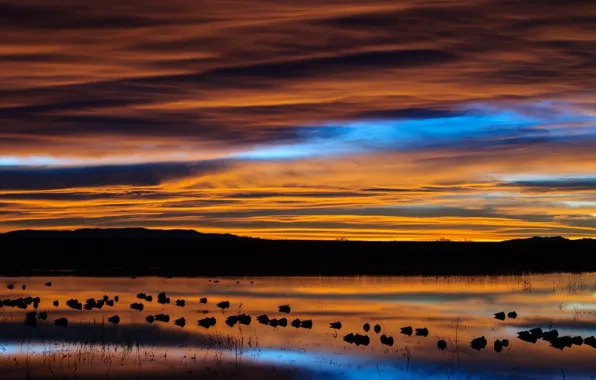 Картинка тучи, отражение, река, вечер, New Mexico