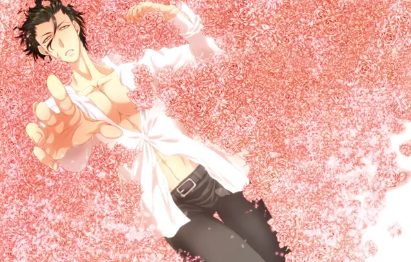 Картинка цветы, рука, розы, парень, лансер, Судьба начало, Fate / Zero