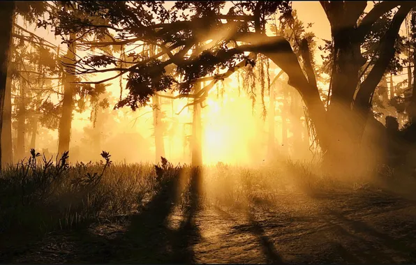 Картинка HDR, Nature, Wood, Game, Sunshine, Trees, UHD, Red Dead Redemption 2, Swamp, Xbox One X, …