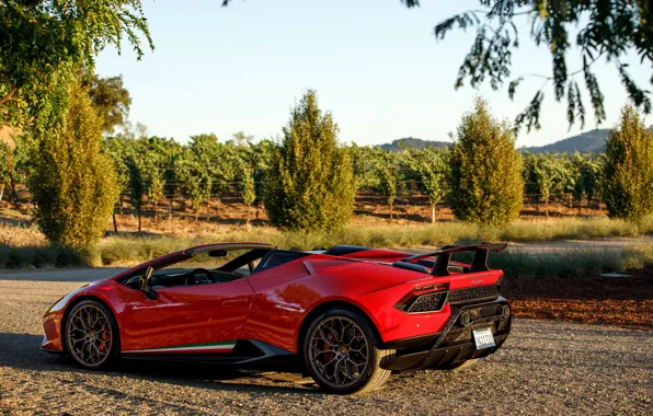 Картинка Lamborghini, суперкар, Spyder, 2018, Performante, Huracan, North America version