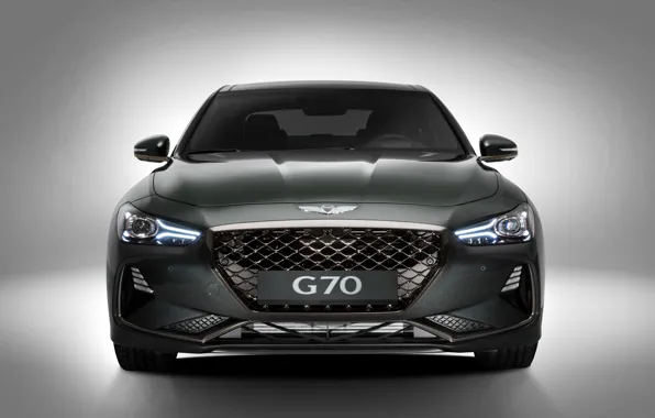 Картинка седан, Hyundai, вид спереди, Genesis, 2019, G70