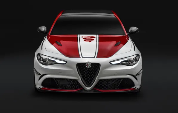 Картинка Alfa Romeo, Quadrifoglio, Giulia, 2019, Alfa Romeo Racing