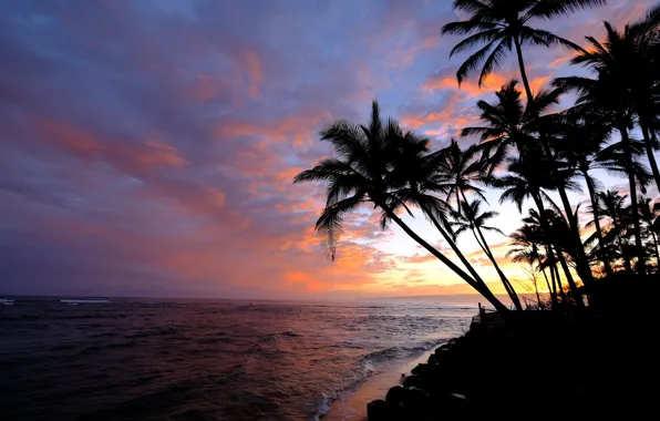 Картинка небо, пальмы, океан, рассвет, утро, Гавайи, Pacific Ocean, Hawaii, Тихий океан, Oahu, Оаху, Mokuleia Beach