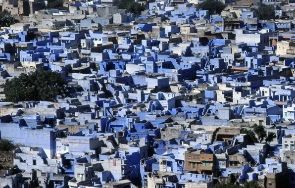 Картинка город, дома, Индия, India, Раджастан, Jodhpur, Голубой город, The Blue City, Джодпур