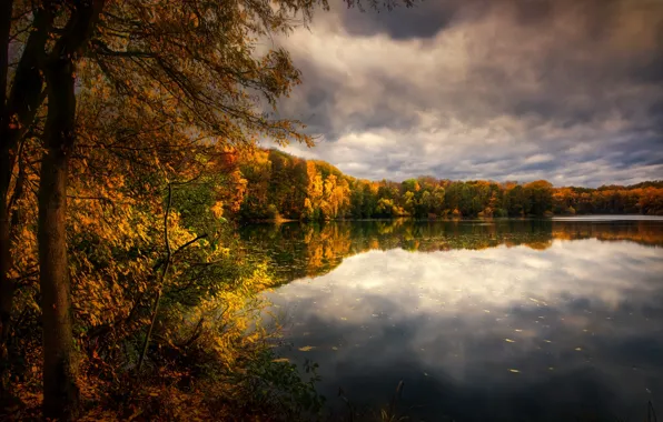 Картинка осень, лес, озеро
