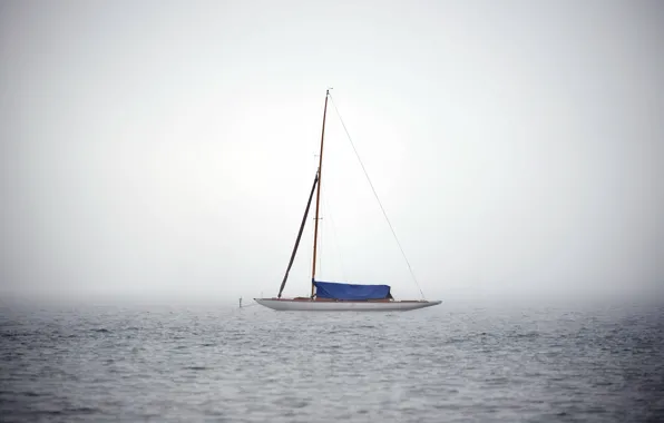 Картинка природа, туман, яхта