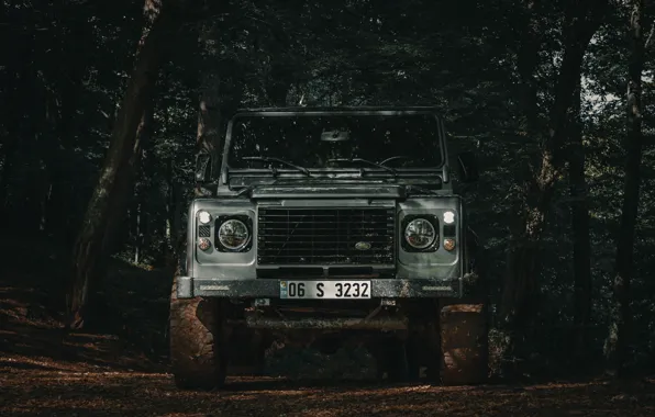 Картинка Land Rover, Wood, Defender, Trees, Offroad, Tolga Ahmetler