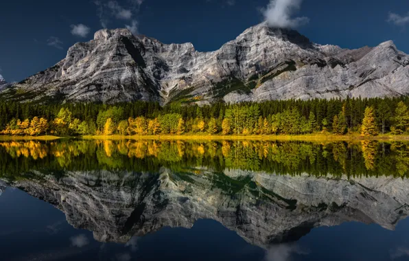 Картинка осень, лес, горы, озеро, отражение, синева, скалы, склоны, вершины, водоем, краски осени, симметрия, зеркальное, желтые …