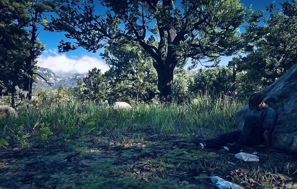 Картинка HDR, Game, UHD, Red Dead Redemption 2, Xbox One X, RDR2, Photography by Tom