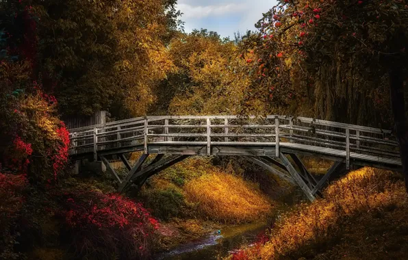 Картинка мост, природа, ручей