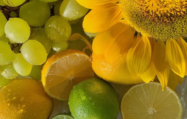 Картинка цветок, капли, макро, желтый, подсолнух, лепестки, виноград, лайм, фрукты, цитрусы, разные, лимоны