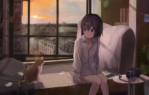 Картинка кошка, девушка, закат, город, наушники, вид из окна