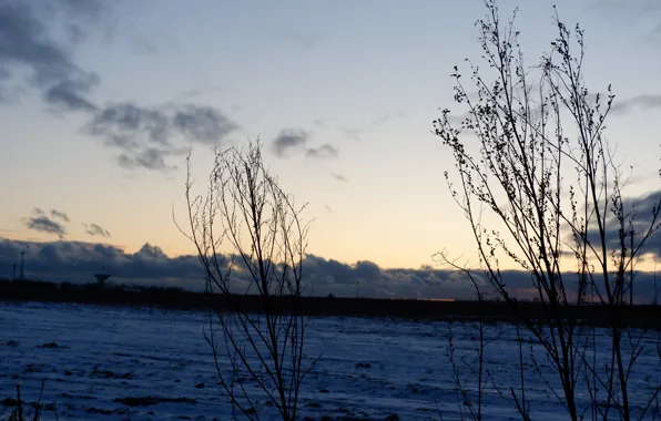 Картинка зима, поле, небо, облака, снег, закат, земля, вечер, засохшие растения