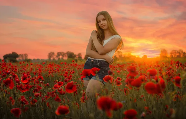 Картинка поле, девушка, закат, цветы, поза, шорты, маки, футболка, Werbliński Maciej