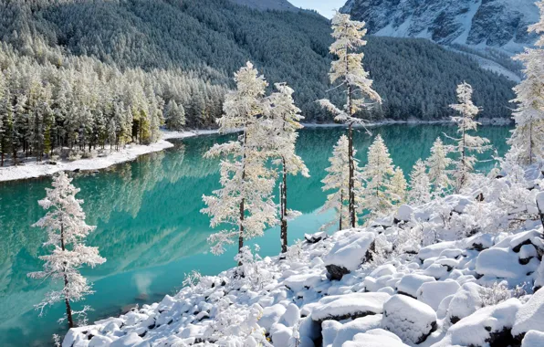 Картинка осень, снег, деревья, пейзаж, горы, природа, озеро, камни, леса, Алтай, Алексей Кретов