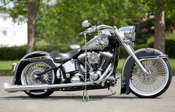 Картинка Harley-Davidson, Custom, Motorcycle