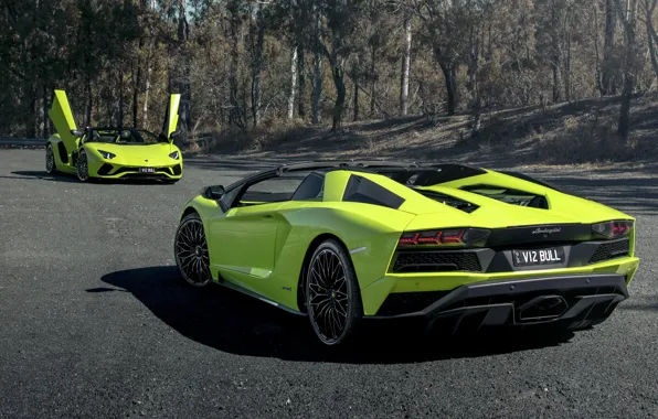 Картинка Roadster, Lamborghini, пара, суперкар, Aventador S, 2019