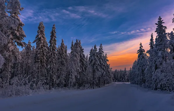 Картинка зима, лес, закат