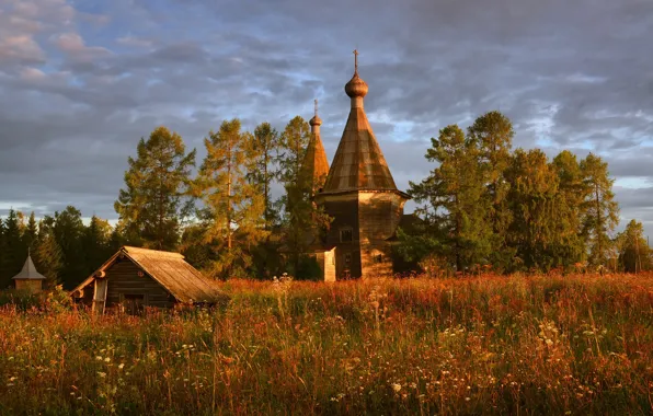Картинка поле, сосны, Россия, архитектура, деревянное зодчество