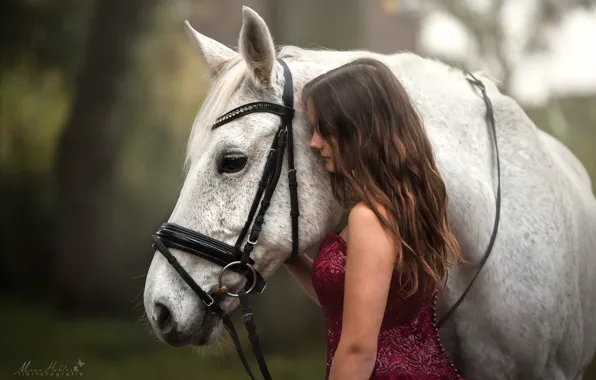 Картинка девушка, лошадь, платье, Mona Hоhler