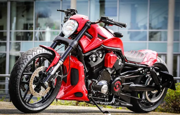 Картинка Harley Davidson, Harley-Davidson, Motorbike, Thunderbike, VRSC, By Thunderbike, RED DEVIL, Custombike