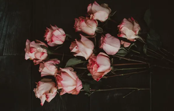 Картинка цветы, темный фон, доски, розы, букет, лежит, розовые, бутоны