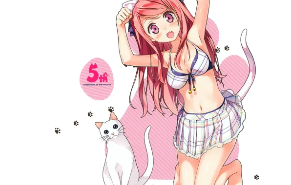 Картинка следы, на коленях, кошачи ушки, белая кошка, кошачий хвост, Kurumi, рыжая девочка, by kantoku, юбка …