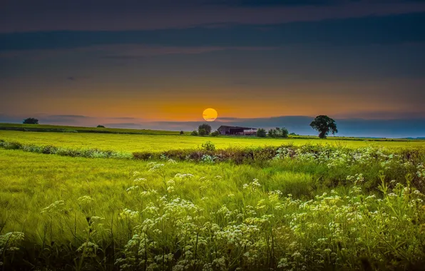 Картинка поле, небо, трава, дом, фото