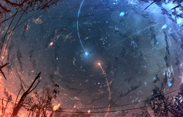 Картинка небо, ночь, метеоры