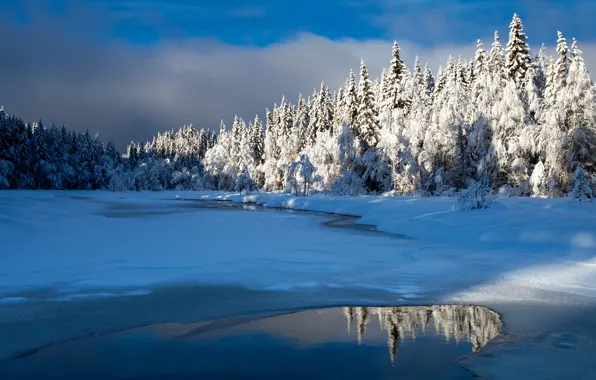 Картинка зима, лес, небо, вода, облака, свет, снег, деревья, природа, озеро, отражение, река, синева, берег, ели, …
