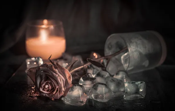Картинка цветок, стакан, роза, свеча, лёд