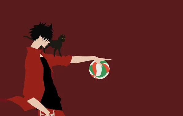 Картинка кот, мяч, парень, Волейбол, Haikyuu