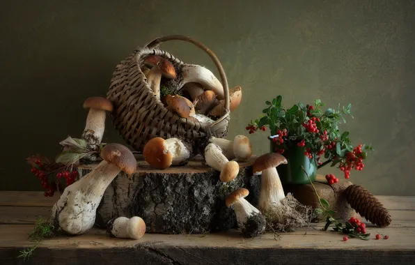 Картинка грибы, натюрморт, много