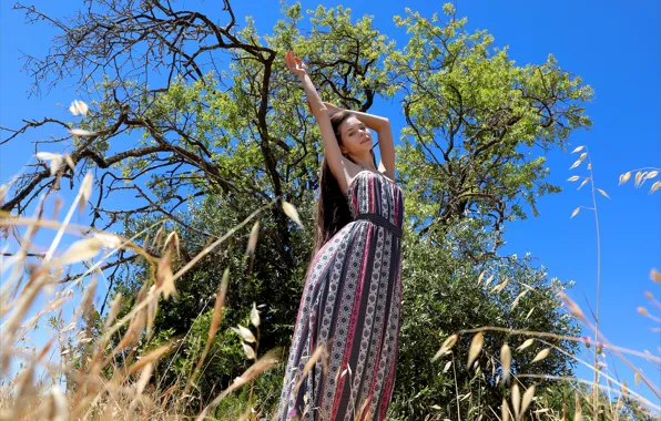 Картинка grass, sky, hot girl, field, nature, tree, model, Portugal, outside, sexy woman, countryside, photoshoot, posing, …