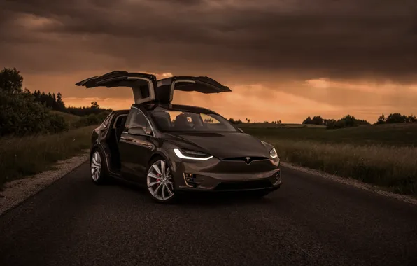 Картинка вечер, Tesla, Model X