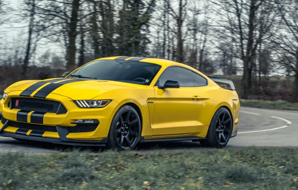 Картинка Mustang, Ford, Ford Mustang, Shelby GT350