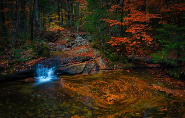 Картинка осень, лес, листья, вода, ветки, природа, галька, пруд, темный фон, камни, стволы, берег, листва, водопад, …