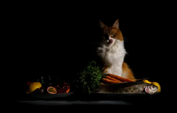 Картинка язык, кошка, кот, взгляд, морда, поза, стол, еда, рыба, укроп, рыжий, тарелка, фрукты, черный фон, …