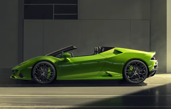 Картинка Lamborghini, вид сбоку, Spyder, Evo, Huracan, 2019, Lamborghini Huracan Evo