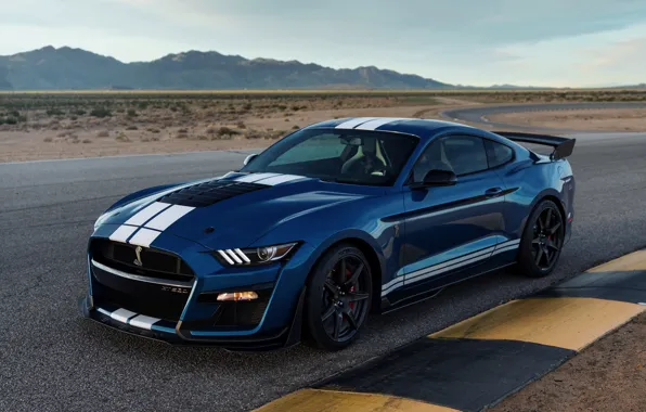 Картинка синий, Mustang, Ford, Shelby, GT500, трек, 2019