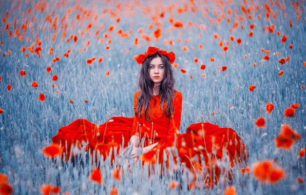 Картинка поле, девушка, цветы, маки, красное платье, венок, Кристина Макеева