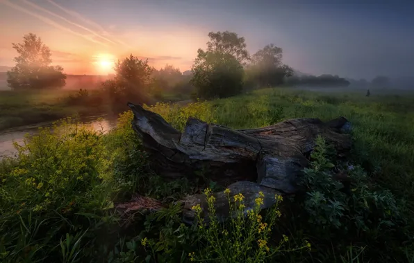 Картинка лето, солнце, лучи, деревья, закат, природа, река, Россия, Андрей Чиж