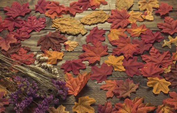 Картинка осень, листья, фон, colorful, wood, background, autumn, leaves, осенние, maple