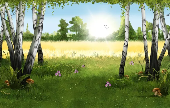Картинка поле, лето, солнце, грибы, берёзы