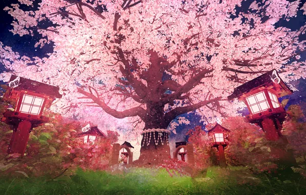 Картинка сакура, фонари, цветение, Touhou Project, by K&P