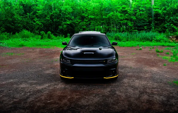Картинка Dodge, SRT8, Green, Black, Charger, Yellow, Forest