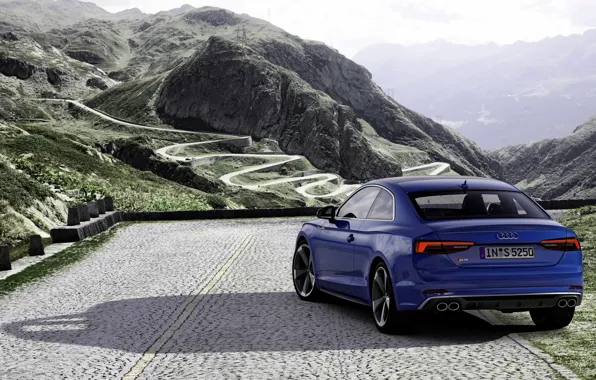 Картинка синий, Audi, купе, сзади, Audi A5, Coupe, Audi S5, 2019